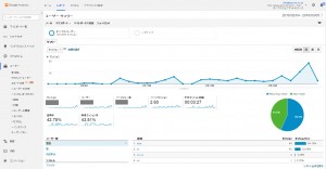 参考資料：グーグルアナリティクス アクセス解析ツール画面